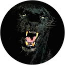 YEYUX profile picture