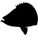 Francisco González Carrión profile picture